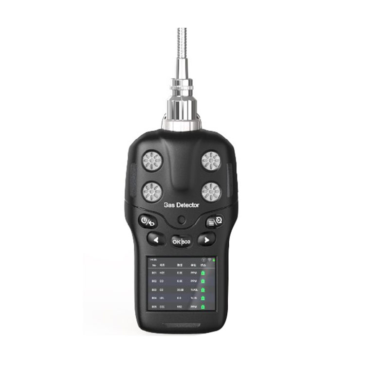 Portable 4-in-1 gas detector